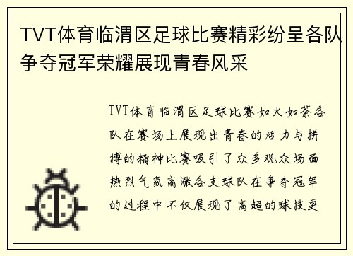 TVT体育临渭区足球比赛精彩纷呈各队争夺冠军荣耀展现青春风采