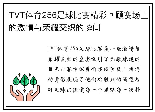 TVT体育256足球比赛精彩回顾赛场上的激情与荣耀交织的瞬间